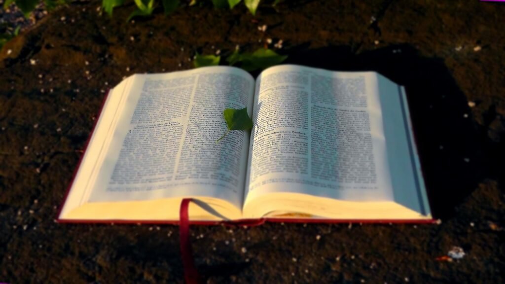 bible, holy, a book