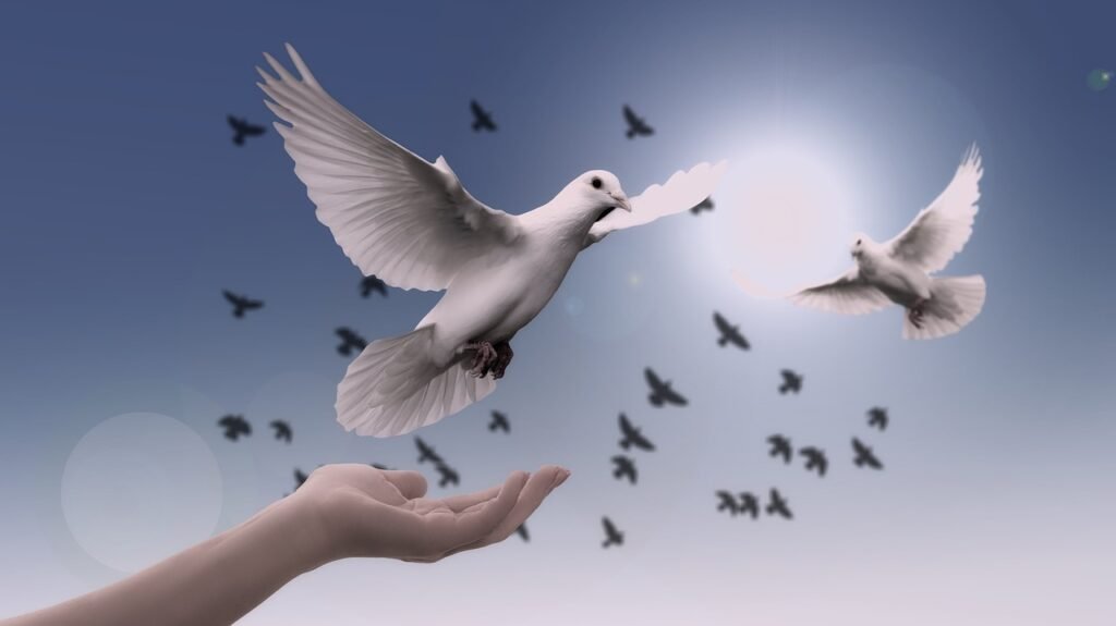 Faith Challenges: Build Resilient Trust When Life Gets Hard